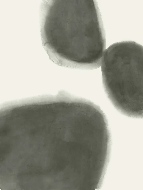 img 52be0200 c fr2 1 crop