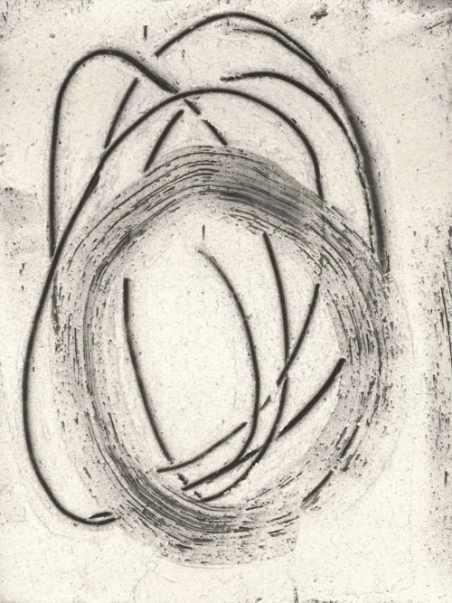 img 52d0239 ln a fr 1 1 crop