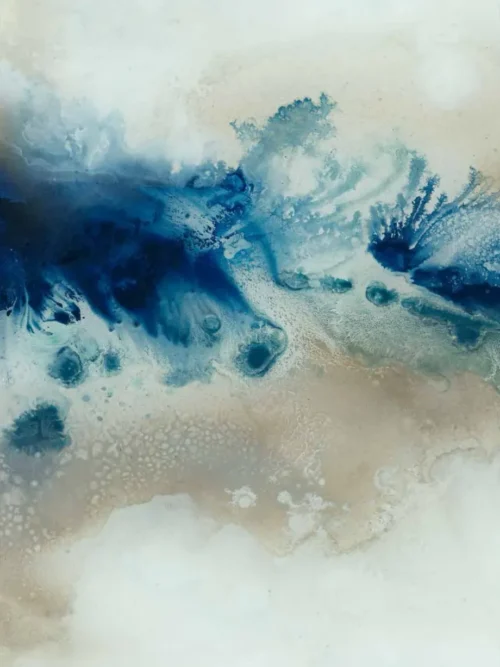 img 52ds0115 b fr 1 1 crop