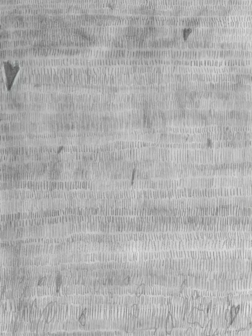 img 52fs0562 c fr nat 1 crop