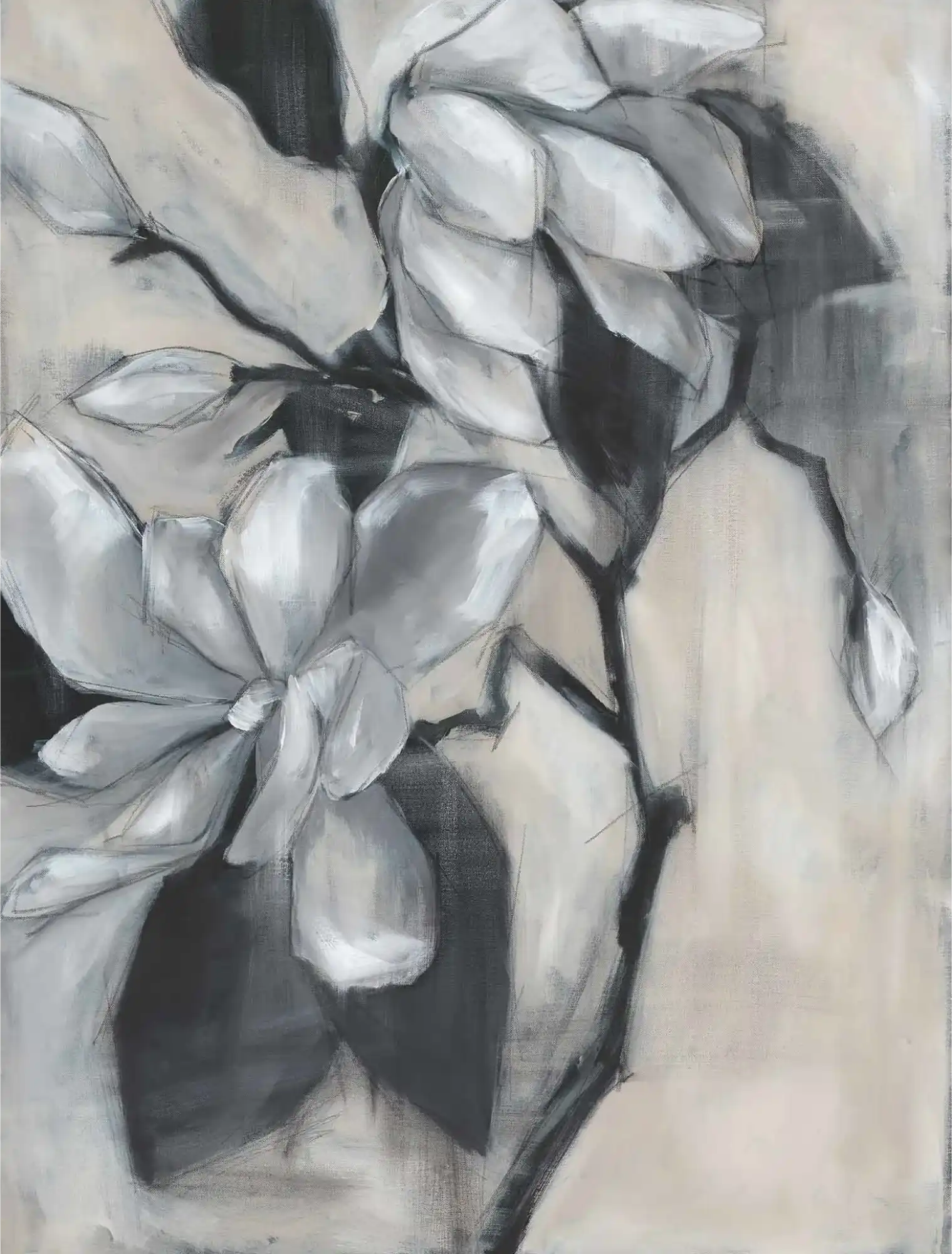 img 52gcba1267 b fr2 ln 1 crop