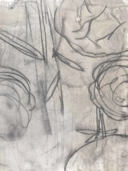 img 52gcde1416 f fr4 fc 1 crop