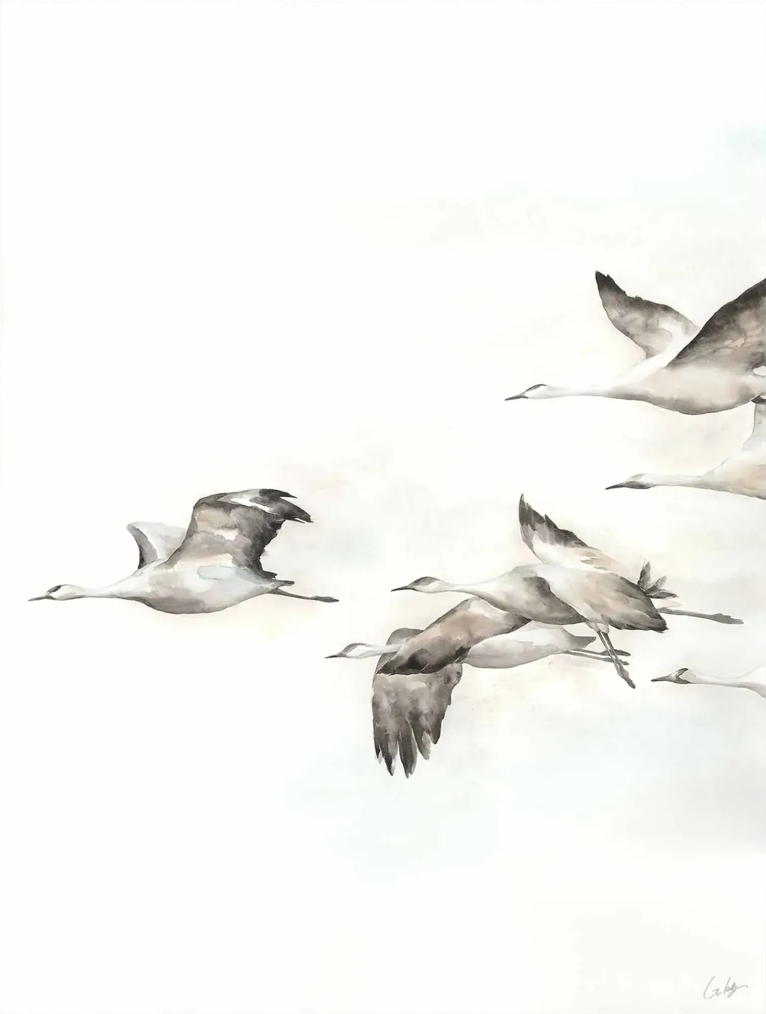 img 52gcgk0568 c fr 1 1 crop