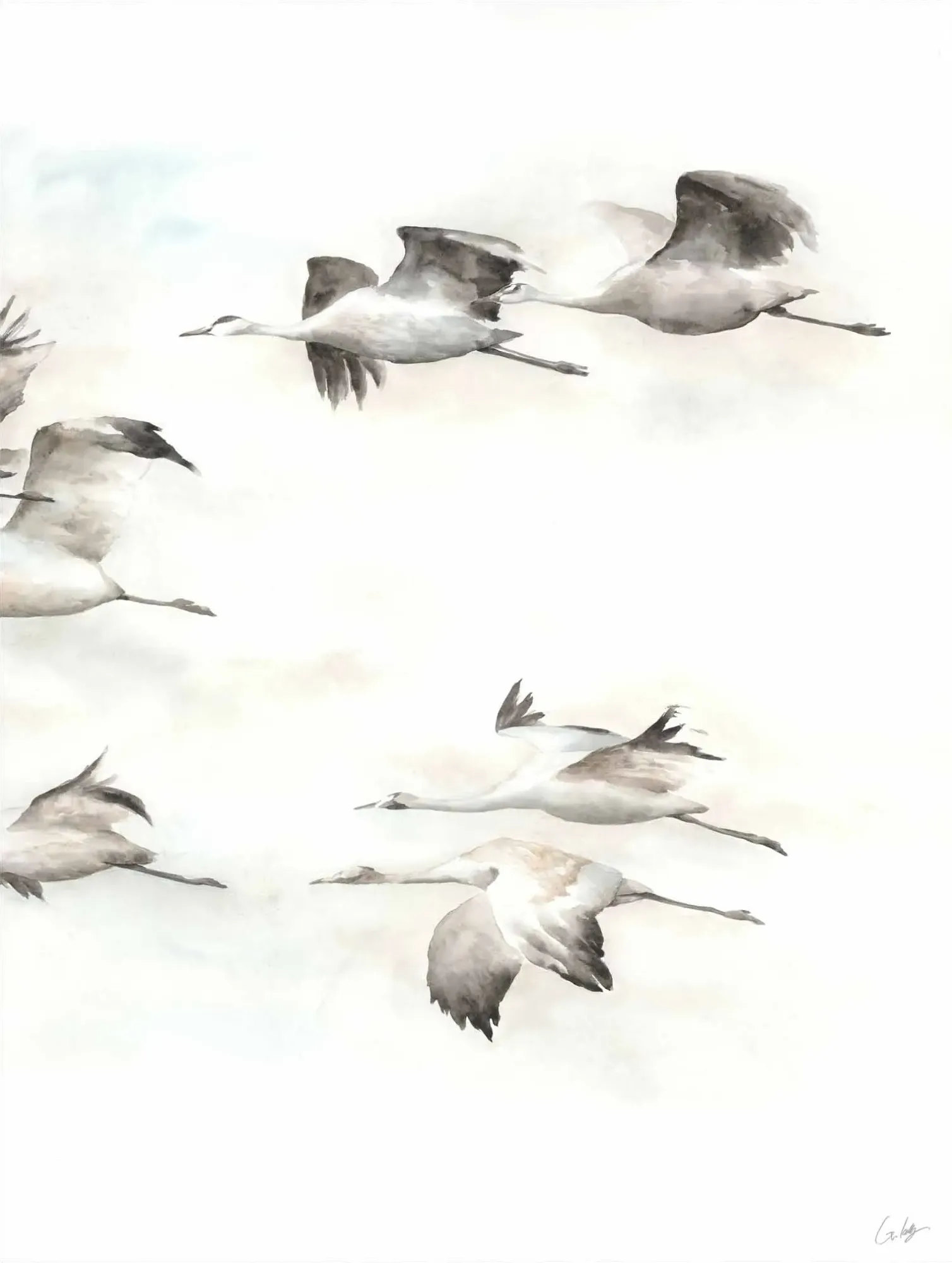 img 52gcgk0569 c fr 1 crop