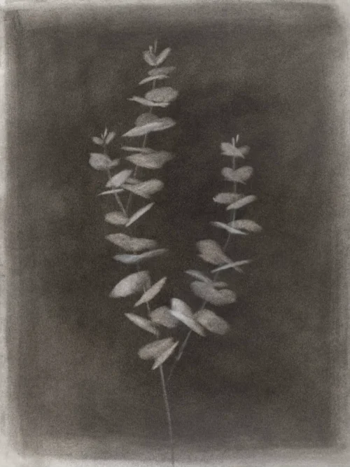 img 52gcrr0966 a fr3 fc 1 crop