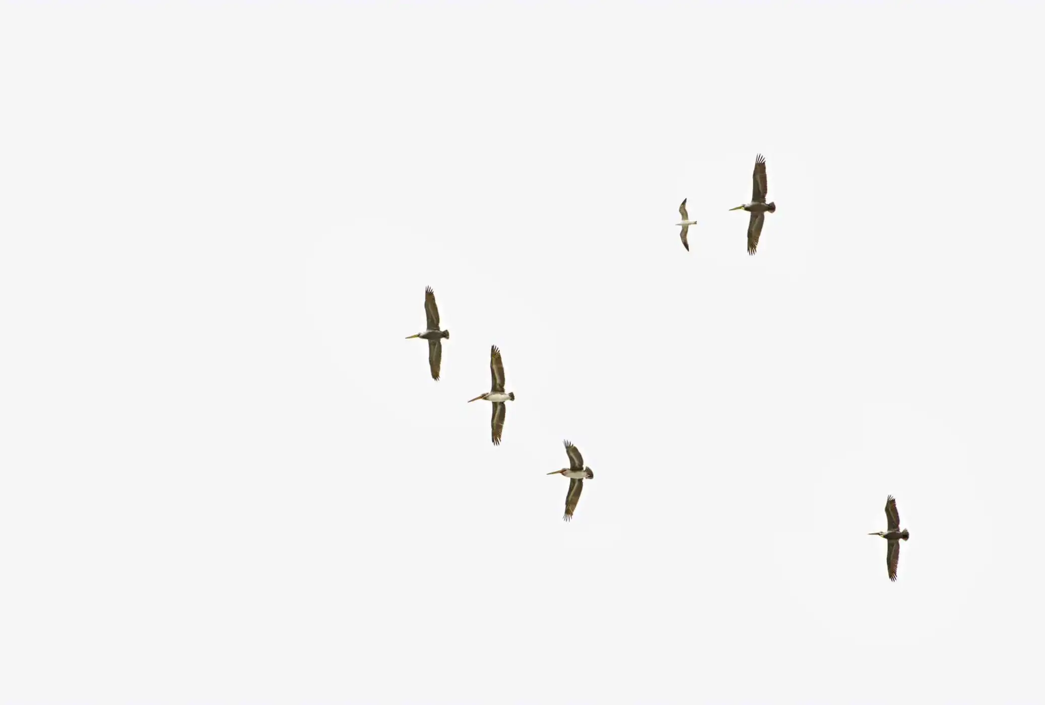 img 52km0172 a fr 1 crop