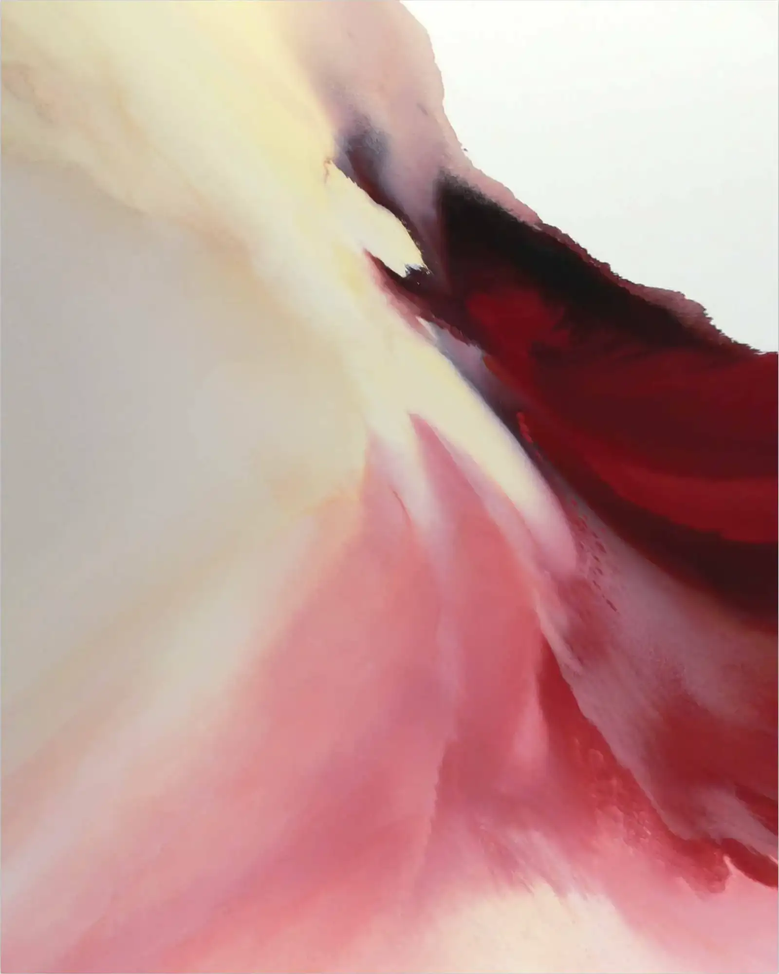 img 52mi1075 fc c fr 1 crop