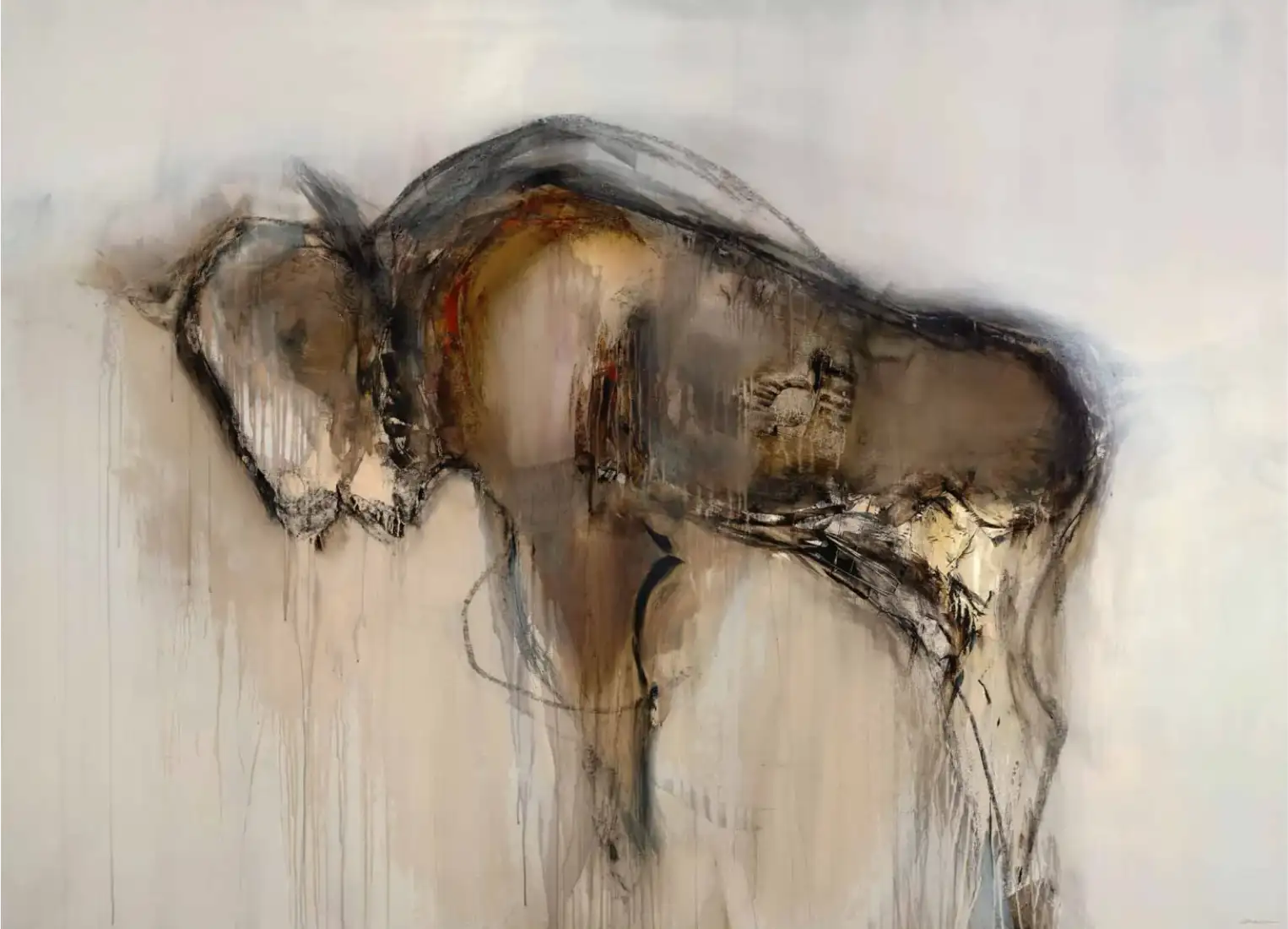 img 52ss0010 d fr 1 1 crop