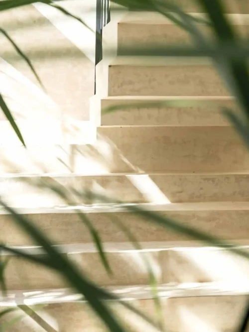 img 52ta0023 a fr3 1 crop