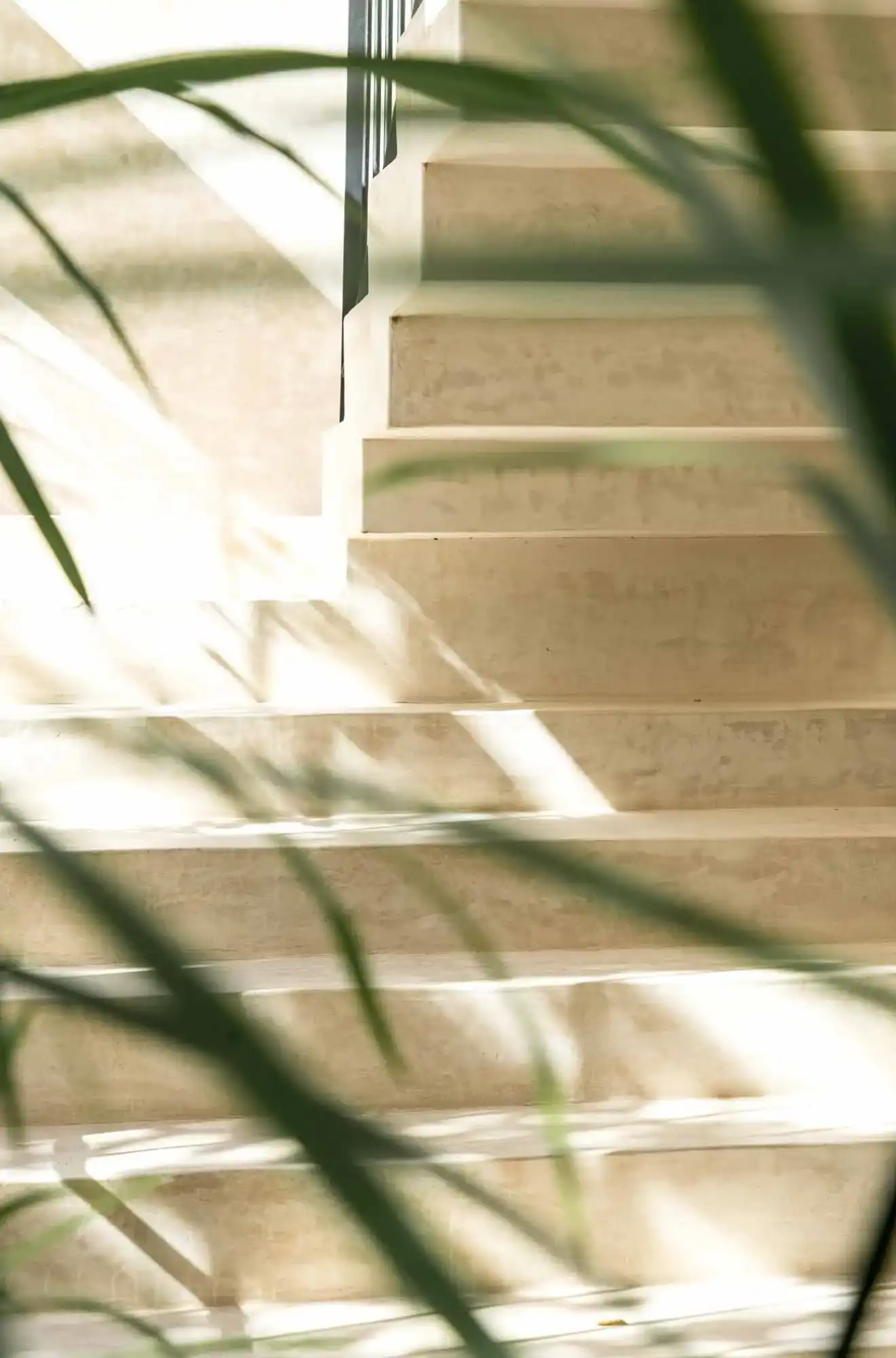 img 52ta0023 a fr3 1 crop