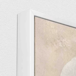 img 52DS0476 A FR3 LN 3